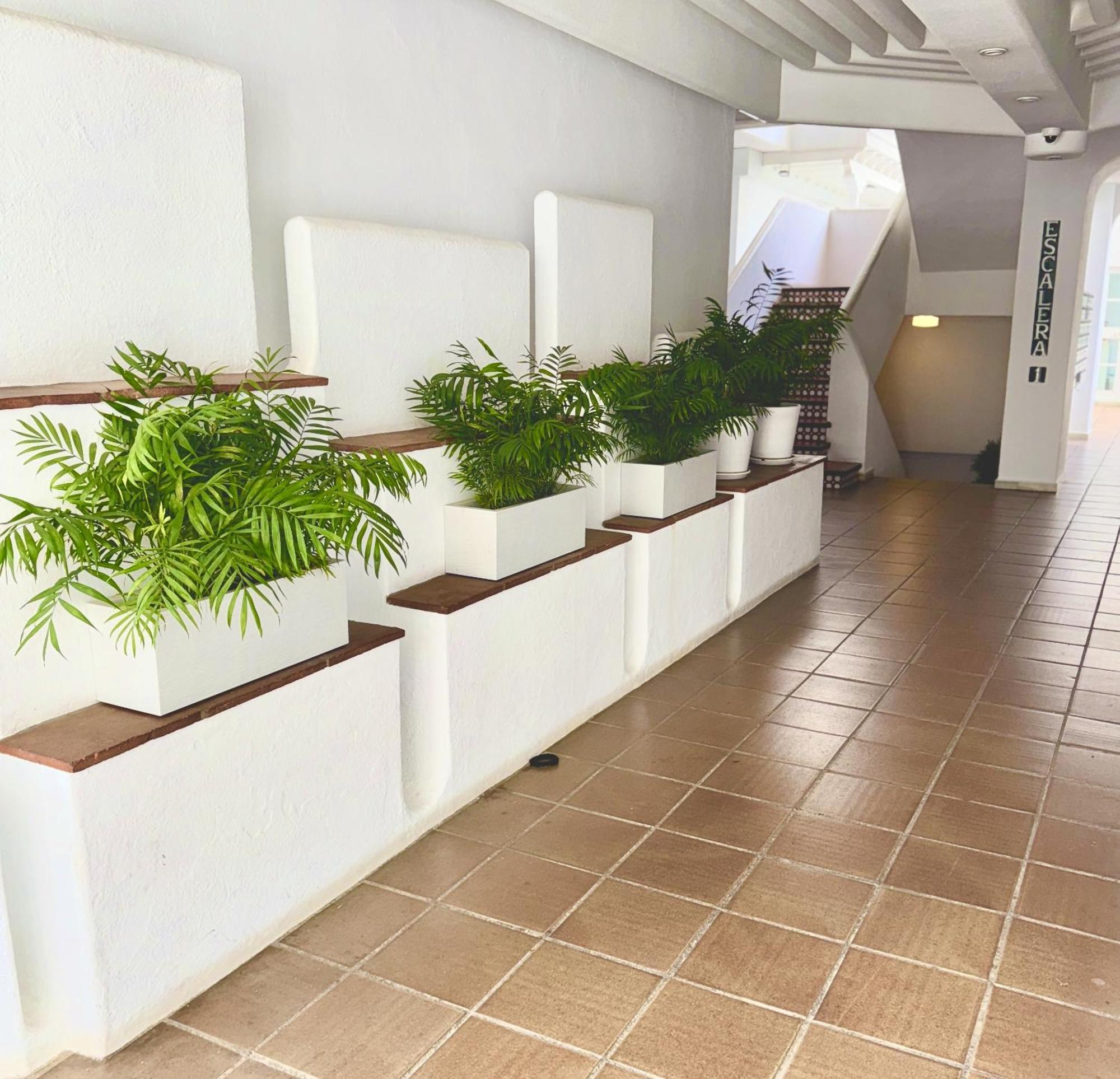 Apartemen En Puerto Banus Jardines Tropicales1 *